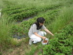 THZ_2876