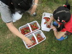 THZ_2878
