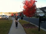 IMG_0163