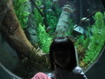 THZ_2102