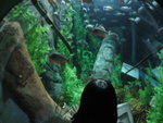 THZ_2103