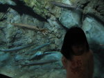 THZ_2104