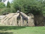 THZ_0220