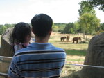 THZ_0222