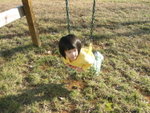 THZ_0780