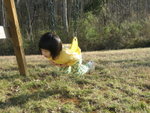 THZ_0781