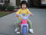 THZ_0790