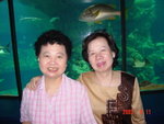 2005081116