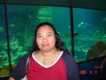 2005081117