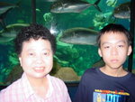 2005081121