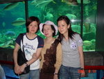 2005081122