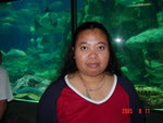 2005081123