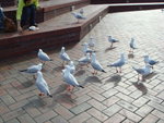 DSC00195