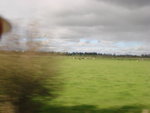 DSC00283