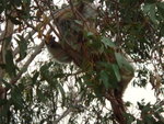 DSC00298