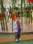 DSC00429