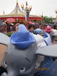 IMG_0437