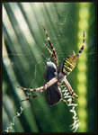 Aug 25, 2008
5903