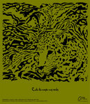 osa-leopard