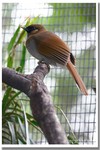 CRW_3317