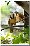 CRW_5478-1