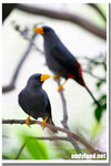CRW_5492-1