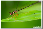 CRW_5855