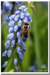 CRW_2022
