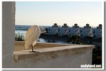 IMG_0446