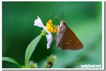 CRW_9464-1