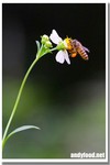 CRW_9486-1