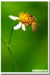 CRW_9729-1