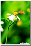 CRW_9734-1