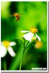 CRW_9735-1