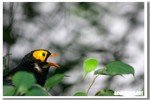 CRW_0630-1