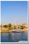 CRW_3134