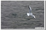 CRW_3407