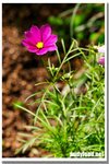 CRW_4580