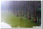 CRW_3570
