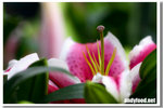 CRW_4805