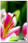 CRW_4806
