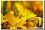 CRW_4814