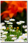 CRW_4819