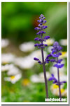 CRW_4839