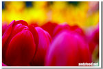CRW_4856