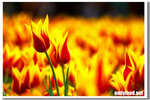 CRW_4870