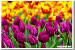 CRW_4881