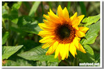 CRW_5110