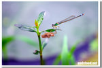 CRW_2880