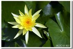 CRW_7225